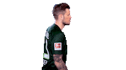 Instagram Sticker Sticker by VfL Wolfsburg