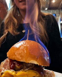 GIF by Toto's Pub