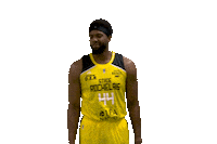 Basketball Basket Sticker by Stade Rochelais