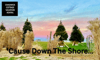 ChadwickCottage beach peace sunset sunrise GIF