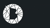 bsidemusic dance music party house GIF