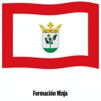 Castilla Y Leon Bandera GIF by Formación Ninja