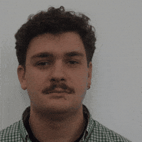 Morphaius approval gifle morphaius approuvé GIF