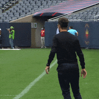 Chicago Fire Reaction GIF by Chicago Fire Football Club