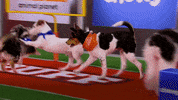 Animal Planet GIF by Puppy Bowl