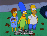 homer simpson GIF