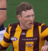 Afl Hawks GIF by Hawthorn Football Club