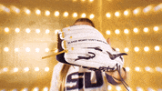 College Sports Sport GIF by LSU Tigers