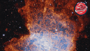 James Webb Nasa GIF by ESA Webb Space Telescope