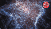James Webb Nasa GIF by ESA Webb Space Telescope