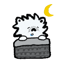 Night Sleep Sticker