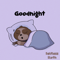 Good Night Sloth GIF by VeeFriends