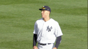 talkin yanks GIF