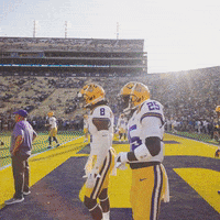 College Football GIF by LSU Tigers