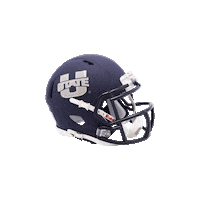 College Football Sticker by Riddell Sports
