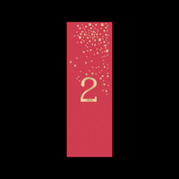 Calendar Advent GIF by A PET STORE
