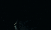 Say It To My Face Fire GIF by Thriller Records