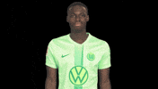 Three Points Win GIF by VfL Wolfsburg