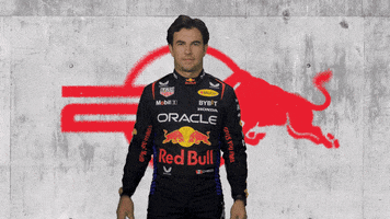 Red Bull Sport GIF by Oracle Red Bull Racing