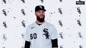 Major League Baseball Sport GIF by NBC Sports Chicago