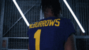 Go Blue Ncaa Football GIF by Michigan Athletics