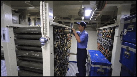 giphy.gif
