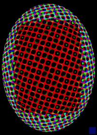 digital art animation GIF by The New Big Poppa E