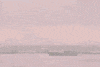 Washington State City GIF by 50statesproject