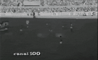 Porto Alegre Colorado GIF by Sport Club Internacional