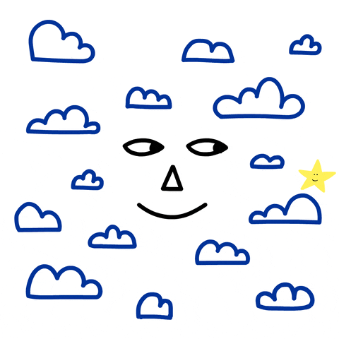 crarolina giphyupload GIF