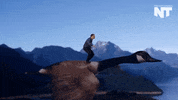 breaking news GIF by NowThis 