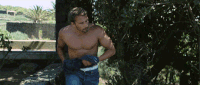 Oh Hello Youre Welcome GIF by Searchlight Pictures