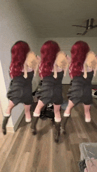 Cat Abbie GIF