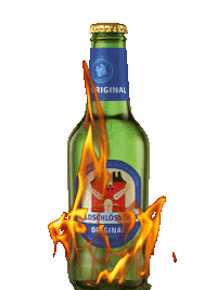 Party Fire Sticker by Feldschlösschen