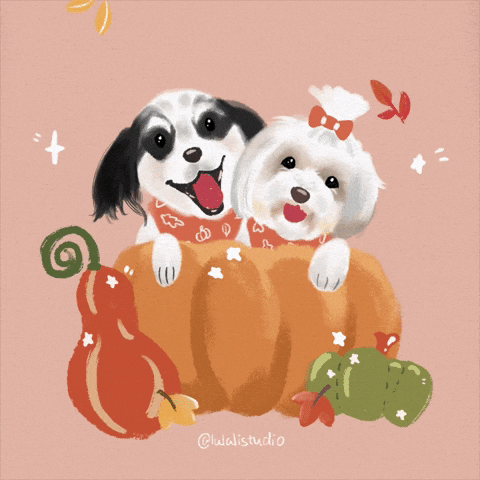 lulalistudio giphyupload GIF