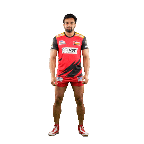 Bb Ran Sticker by Bengaluru Bulls