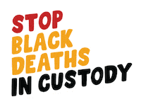 First Nations Blm Sticker by talkblack