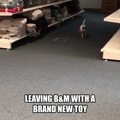 new toy running GIF by B&M Stores