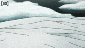 Hide Hiding GIF by Adult Swim