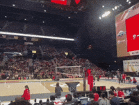 Sorry Japan GIF