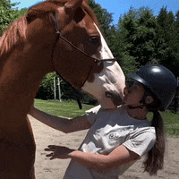 GIF by The Dodo