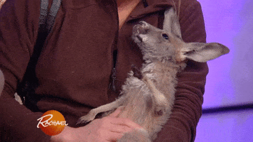 christmas eating GIF by Rachael Ray Show