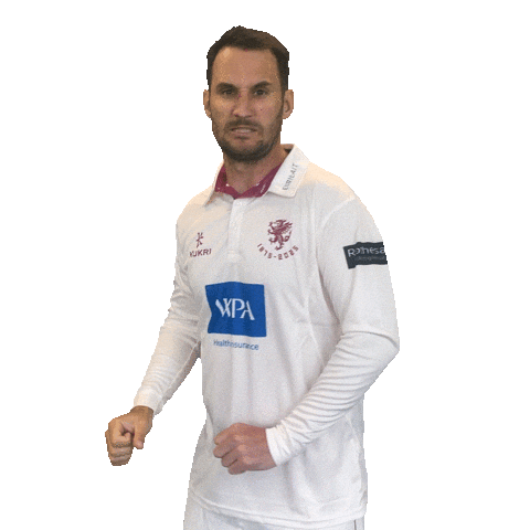 Celebration Sticker by Somerset County Cricket Club