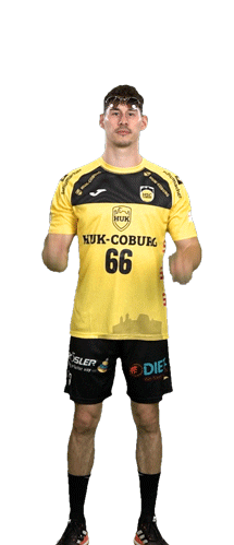 Handball Sticker by HSC 2000 Coburg