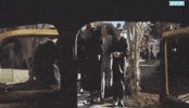 tcm jazz tcm turner classic movies diana ross GIF