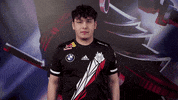 Breathe League Of Legends GIF by G2 Esports