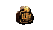 iheartcountrynz music logo radio spin Sticker
