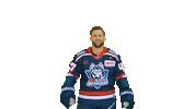 Tor Sticker by EC Kassel Huskies