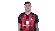 Happy Football Sticker by AFC Bournemouth