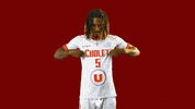 choletbasket sport basketball basket cb GIF